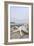 Crescent Beach Shells 14-Alan Blaustein-Framed Photographic Print