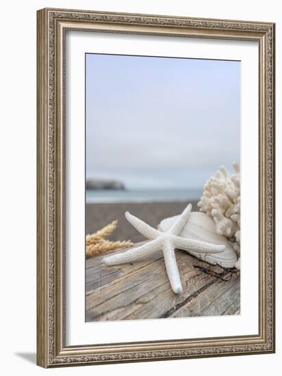 Crescent Beach Shells 14-Alan Blaustein-Framed Photographic Print