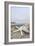 Crescent Beach Shells 14-Alan Blaustein-Framed Photographic Print