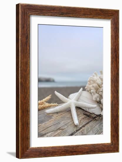 Crescent Beach Shells 14-Alan Blaustein-Framed Photographic Print