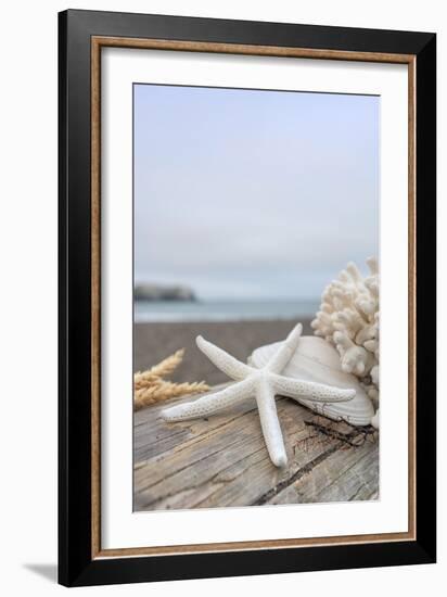 Crescent Beach Shells 14-Alan Blaustein-Framed Photographic Print