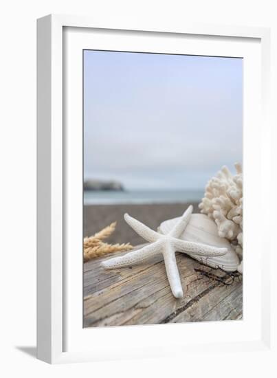 Crescent Beach Shells 14-Alan Blaustein-Framed Photographic Print