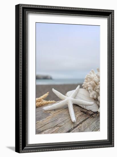 Crescent Beach Shells 14-Alan Blaustein-Framed Photographic Print