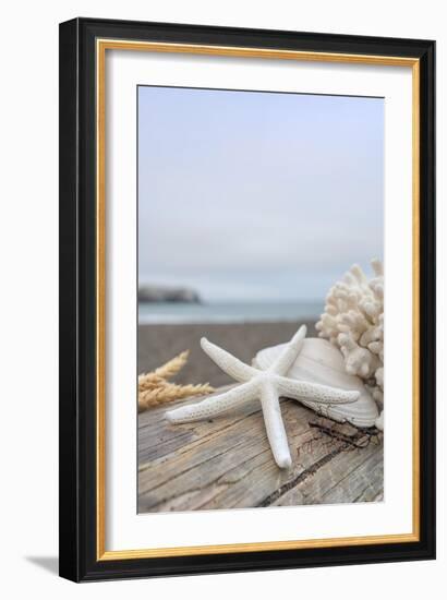 Crescent Beach Shells 14-Alan Blaustein-Framed Photographic Print