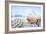 Crescent Beach Shells 15-Alan Blaustein-Framed Photographic Print