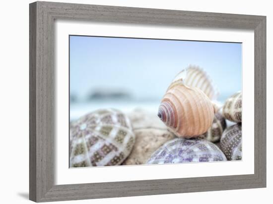 Crescent Beach Shells 15-Alan Blaustein-Framed Photographic Print