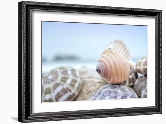 Crescent Beach Shells 15-Alan Blaustein-Framed Photographic Print