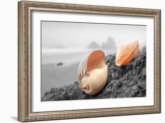 Crescent Beach Shells #20-Alan Blaustein-Framed Photographic Print