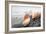 Crescent Beach Shells #20-Alan Blaustein-Framed Photographic Print