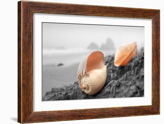 Crescent Beach Shells #20-Alan Blaustein-Framed Photographic Print