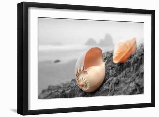 Crescent Beach Shells #20-Alan Blaustein-Framed Photographic Print