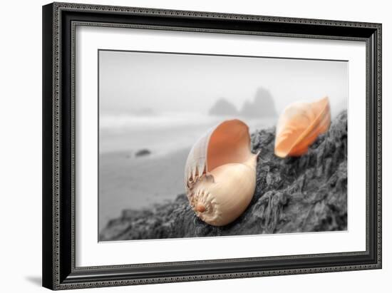 Crescent Beach Shells #20-Alan Blaustein-Framed Photographic Print