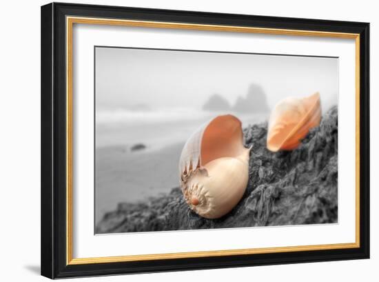 Crescent Beach Shells #20-Alan Blaustein-Framed Photographic Print