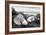 Crescent Beach Shells 2-Alan Blaustein-Framed Photographic Print