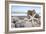 Crescent Beach Shells 5-Alan Blaustein-Framed Photographic Print