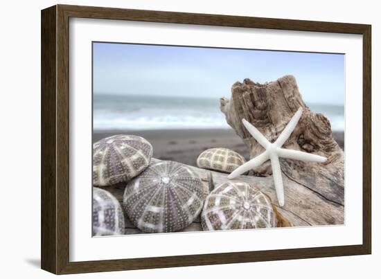 Crescent Beach Shells 5-Alan Blaustein-Framed Photographic Print