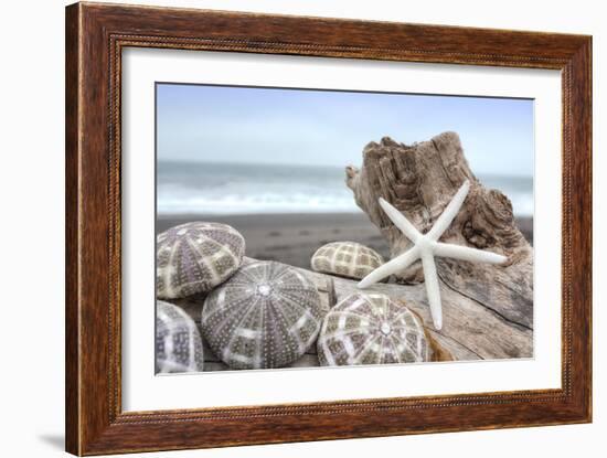 Crescent Beach Shells 5-Alan Blaustein-Framed Photographic Print