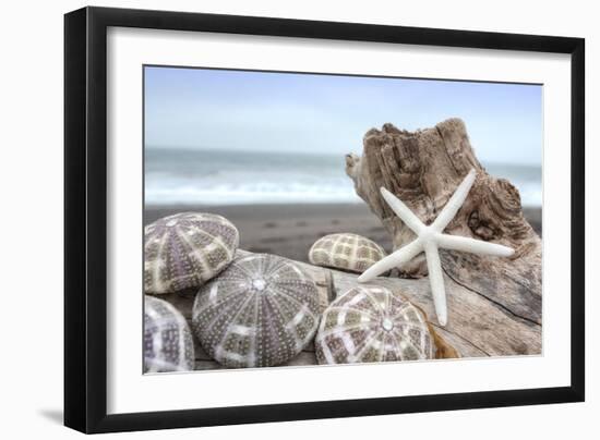 Crescent Beach Shells 5-Alan Blaustein-Framed Photographic Print