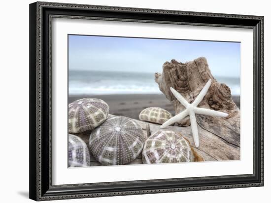 Crescent Beach Shells 5-Alan Blaustein-Framed Photographic Print