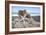 Crescent Beach Shells 6-Alan Blaustein-Framed Photographic Print