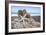 Crescent Beach Shells 6-Alan Blaustein-Framed Photographic Print