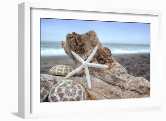 Crescent Beach Shells 6-Alan Blaustein-Framed Photographic Print