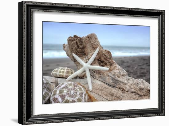 Crescent Beach Shells 6-Alan Blaustein-Framed Photographic Print