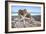 Crescent Beach Shells 6-Alan Blaustein-Framed Photographic Print