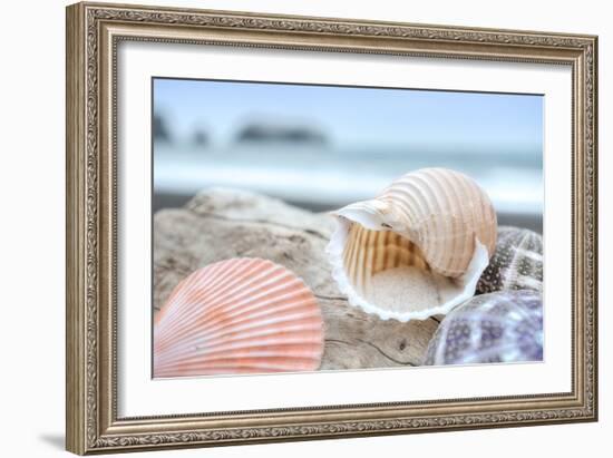 Crescent Beach Shells 9-Alan Blaustein-Framed Photographic Print