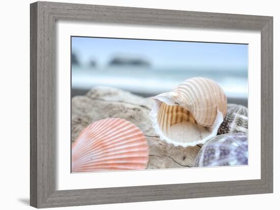 Crescent Beach Shells 9-Alan Blaustein-Framed Photographic Print