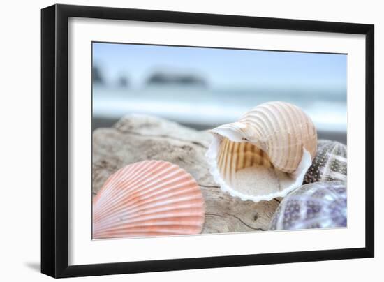 Crescent Beach Shells 9-Alan Blaustein-Framed Photographic Print