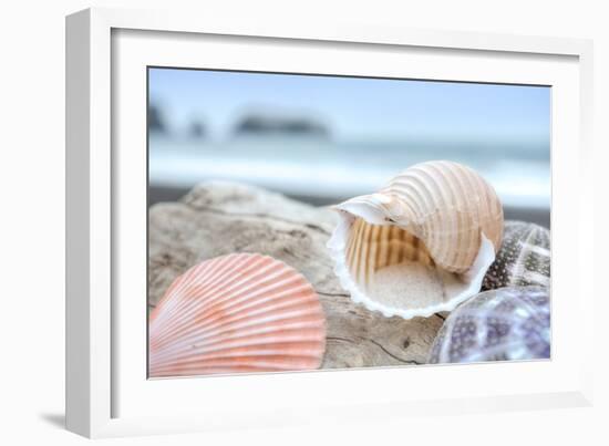 Crescent Beach Shells 9-Alan Blaustein-Framed Photographic Print