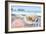 Crescent Beach Shells 9-Alan Blaustein-Framed Photographic Print