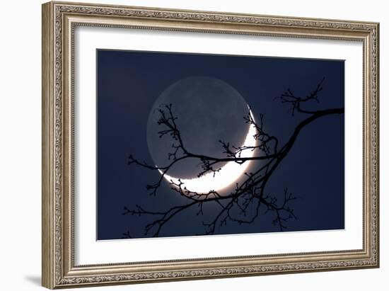 Crescent Moon with Earthshine-Detlev Van Ravenswaay-Framed Photographic Print