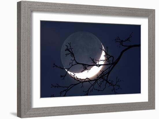 Crescent Moon with Earthshine-Detlev Van Ravenswaay-Framed Photographic Print