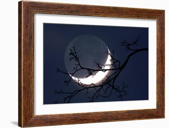 Crescent Moon with Earthshine-Detlev Van Ravenswaay-Framed Photographic Print