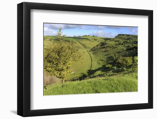 Cressbrook Dale National Nature Reserve in Spring, Elevated View, Peak District National Park-Eleanor Scriven-Framed Photographic Print