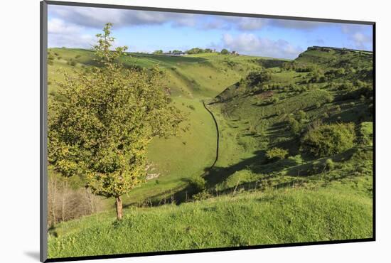 Cressbrook Dale National Nature Reserve in Spring, Elevated View, Peak District National Park-Eleanor Scriven-Mounted Photographic Print