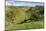 Cressbrook Dale National Nature Reserve in Spring, Elevated View, Peak District National Park-Eleanor Scriven-Mounted Photographic Print