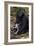 Crested Black Macaque And Baby-Tony Camacho-Framed Photographic Print