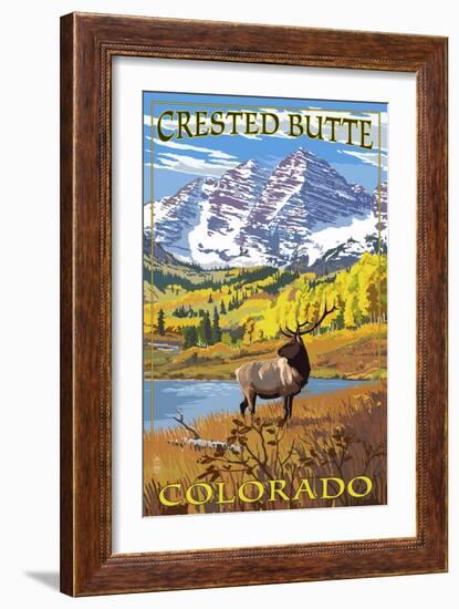 Crested Butte, Colorado - Maroon Bells and Elk-Lantern Press-Framed Art Print