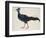 Crested Fireback Pheasant-J. Briois-Framed Giclee Print