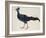 Crested Fireback Pheasant-J. Briois-Framed Giclee Print