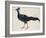 Crested Fireback Pheasant-J. Briois-Framed Giclee Print