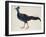 Crested Fireback Pheasant-J. Briois-Framed Giclee Print