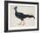 Crested Fireback Pheasant-J. Briois-Framed Giclee Print