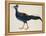 Crested Fireback Pheasant-J. Briois-Framed Premier Image Canvas