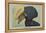 Crested Hornbill-Louis Agassiz Fuertes-Framed Stretched Canvas