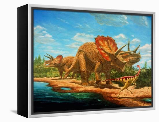 Cretaceous Dinosaurs-Chris Butler-Framed Premier Image Canvas