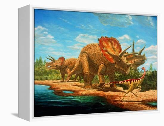 Cretaceous Dinosaurs-Chris Butler-Framed Premier Image Canvas